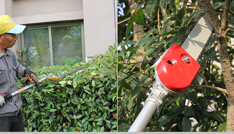 مهارت های برش ابزار در نگهداری باغ چیست؟